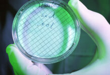 美国得克萨斯州水中现可怕“食脑虫” 丨国际热点速递