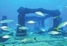 海南的海底藏着72个村庄,这是怎么回事?|闲话海南