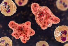 【新增1376例】首都大区一周暴增2千多,半数去过酒吧或餐馆。。