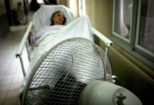 【新增424例】8月比利时热死了5659人!超过新冠致死率