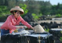 传承千年的制盐技术,5道工序就能搞定!|闲话海南