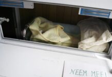 这些孩子出生就被父母遗弃,现在布鲁塞尔找到了“家”