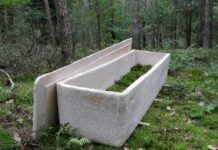 【让生命回归自然】荷兰学生用蘑菇做成了一副“活着的棺材”