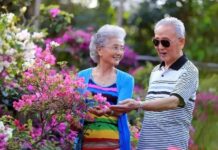 “候鸟”南飞,不止于居|闲话海南