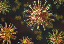 【独家深度分析】为啥比利时第二波疫情“这么猛”?