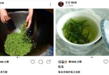 真绿茶!一份来自陨石坑的礼物|闲话海南