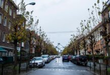 【几乎看不到太阳】这是1887年以来比利时第二个最“暗”的十月