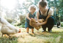 【新增4659例】注意,比利时发现禽流感