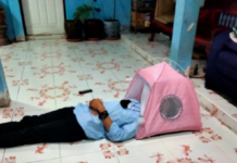 双十一快递到了!男子网购帐篷只够放下头 |趣观世界