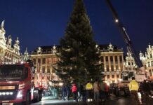 布鲁塞尔的圣诞树来啦!