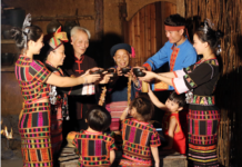 “biang”酒的诱惑:连苏东坡都爱喝|闲话海南