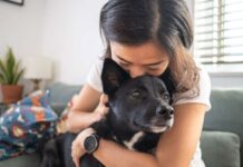 布鲁塞尔首个动(宠)物墓地落成, 安葬费用多少呢?