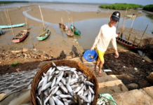 海鲜有多鲜,就看捕捞技术有多强|闲话海南