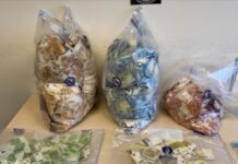 【新增2637例】布鲁塞尔警方缴获178万欧元(现金)