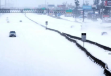 美国得州1度电飙升至65元丨国际热点速递