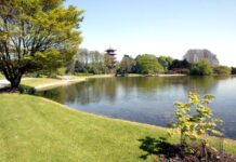 【好消息】布鲁塞尔皇家领地距向公众开放又近了一步