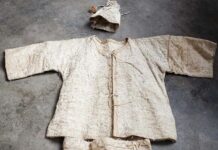 大名鼎鼎的“见血封喉”树,竟是树皮布的原材料!|闲话海南