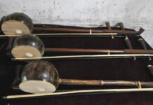 椰子还能做乐器?椰胡了解一下|闲话海南