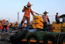 沾了苏东坡的名气的竹笠——东坡笠丨闲话海南