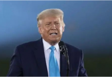 特朗普确认将再次参选总统丨国际热点速递