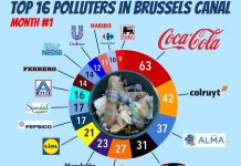 【想不到吧】造成布鲁塞尔运河污染的最大凶手是?