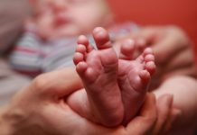 【疫情并未带来婴儿潮】比利时的外籍母亲多过本地妈妈