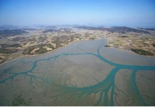 韩国滩涂申遗被联合国退回丨国际热点速递