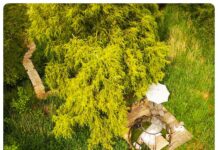 【周末推荐】诗情画意:比利时五大超有范儿的水上度假屋