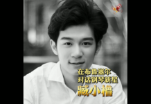 【视频-独家专访】在布鲁塞尔对话臧小橹