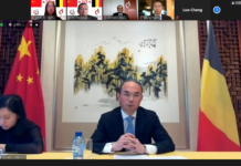 【中比建交50年】比卢中企协与比中经贸委举办研讨会