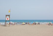 【新增895例】三分之二的比利时人计划今年夏天出游