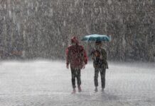 【阴雨连绵】这个夏天是自1833年以来,比利时最潮湿的夏季