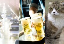 【必读】比利时10月开始的新变化