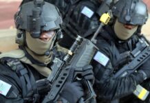 尼日利亚安全部队解救近200名人质