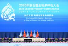 全球连线丨国际植物园保护联盟秘书长:期待昆明会议能确定“雄心勃勃”的保护生物多样性目标