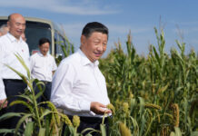 习近平带领百年大党奋进新征程(二)“像爱父母那样爱老百姓”的党的总书记