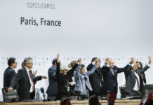 全球连线 | 格拉斯哥气候大会将聚焦哪些议题