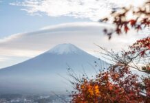 旅游新项目:日本拟推海外遥控无人机游富士山