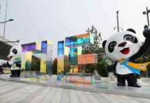 重要时间节点举办的这个展会新在哪里?释放什么信号?——第四届进博会五大看点前瞻