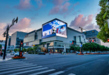 与进博会同频,长三角架起一座联通中外的“彩虹桥”