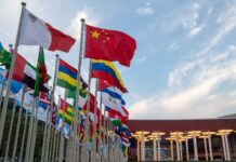 进博会“热词”折射中国之变