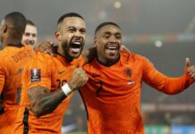 世预赛|荷兰胜挪威 抢占直接晋级最后一席