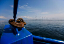 聚焦欧洲能源危机之二:欧洲能源绿色转型的苦与甜