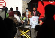 欧洲多国欲设联合外交使团 处理涉阿富汗事务