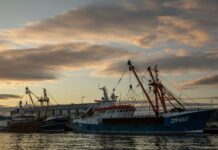 英法渔业谈判有突破 23艘法国渔船获许可