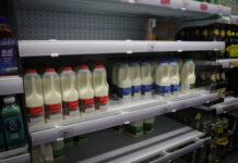 聚焦欧洲圣诞经济之二:今年圣诞有点“贵”