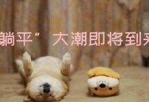 【周末闲聊】“比利时每天6万+,三个月(阴性)就清零了”?!。。。