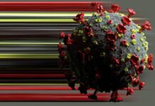 【加强针的实际效果如何】看看比利时的官方统计数据