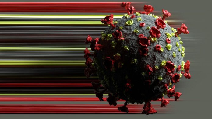 WeChat Image_20220131114246