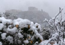 暴风雪降临 土耳其和希腊最大城市交通大瘫痪